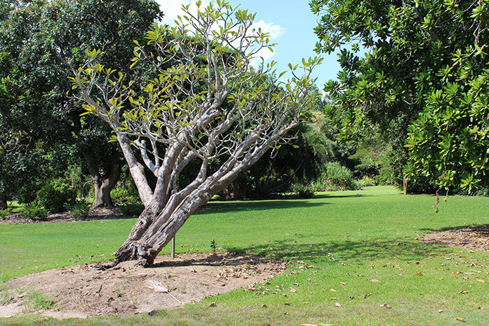 Voyages-Deci-Dela-Australie-Darwin-Charles-Darwin-National-Park-6