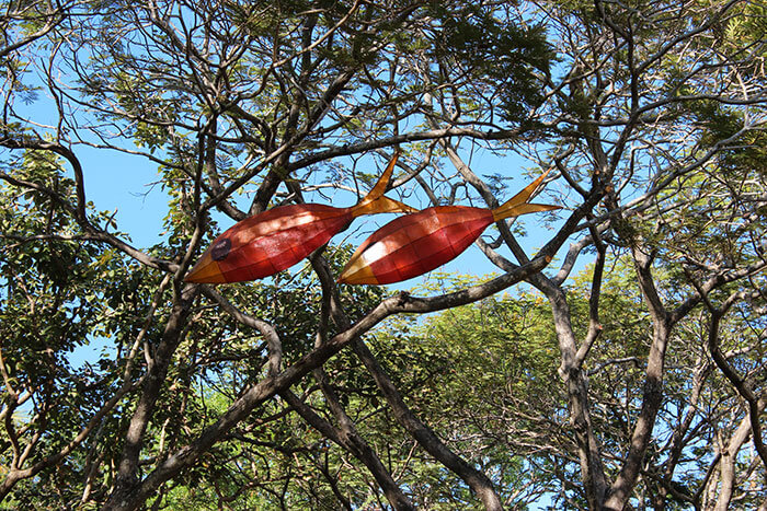 Voyages-Deci-Dela-Australie-Darwin-Lampion-poisson-dans-les-arbres