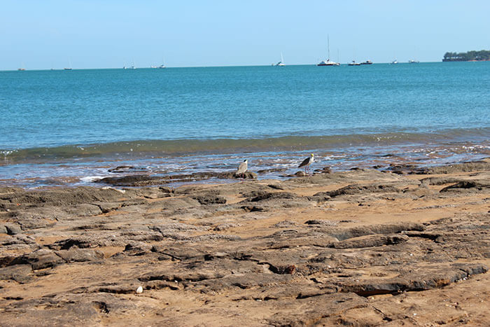 Voyages-Deci-Dela-Australie-Darwin-plage-dangereuse-crocodile-et-meduse2