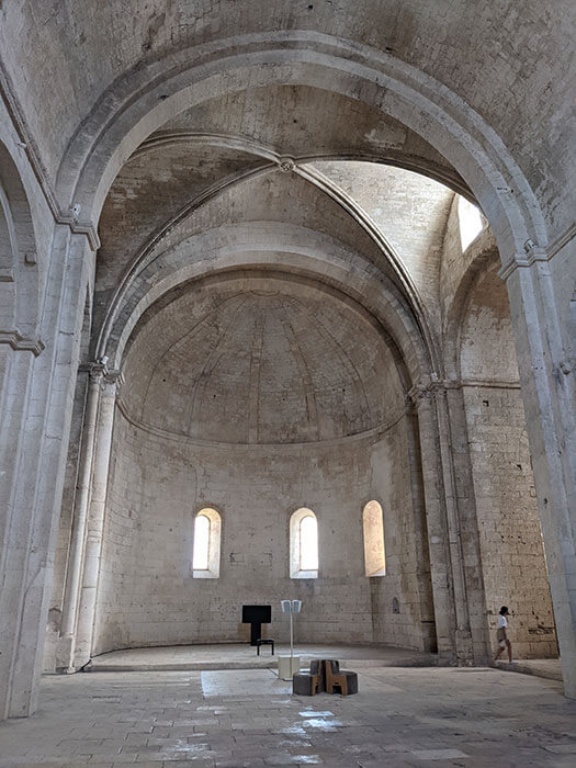 Voyages-Deci-Dela---Nef-de-l'abbaye-de-Montmajour-