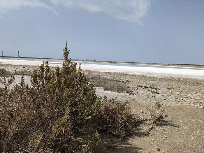 Voyages-deci-dela-paysages-desertique-au-salins-de-Giraud