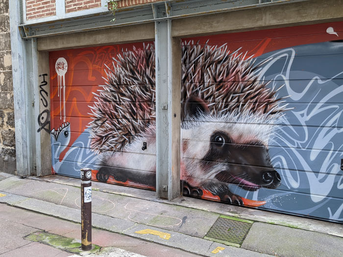 Voyages-Deci-Dela---fresque-graffiti-à-Rouen-Herisson-dans-le-vieux-Rouen-2