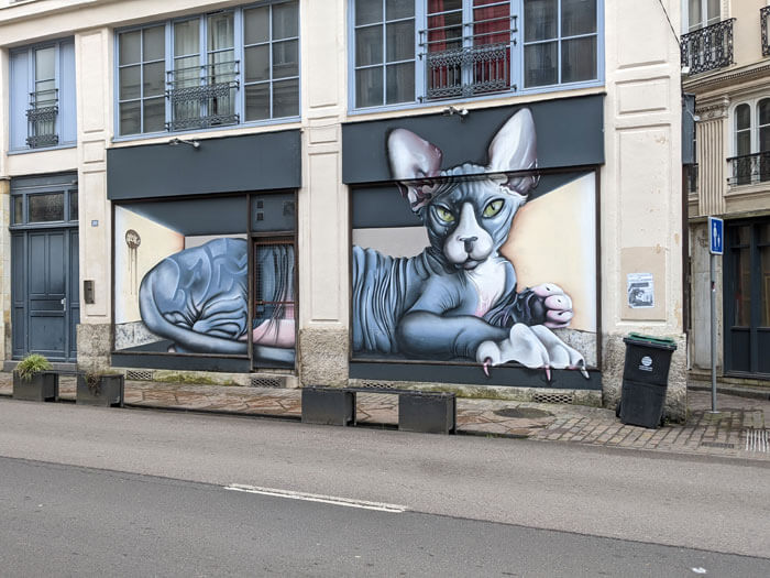 Voyages-Deci-Dela---fresque-graffiti-à-Rouen-chat-dans-le-vieux-Rouen-2