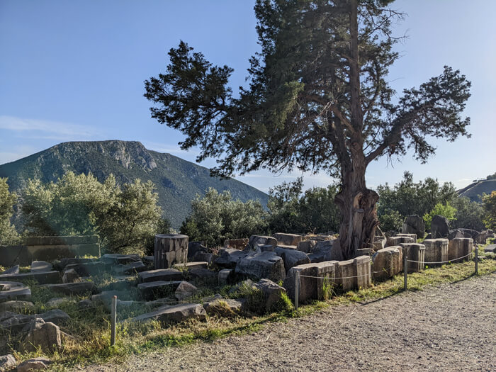 Voyages-Deci-Dela-Sanctuaire-D'Athena-Pronaia-Colonne-dispersées-au-sol-Delphe