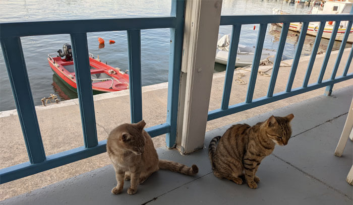 Voyages-Deci-Dela-restaurant-Almira-avec-nos-chats-gourmands-Cythère-kythira-Grece