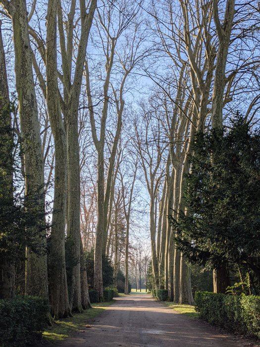 Voyages-Deci-dela-Chateau-de-fontainebleau-allée-arbres-2