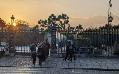 Voyage au Jardin des Plantes : émerveillement botanique et escapade verdoyante.