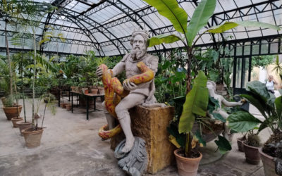 Explorez le jardin botanique de Palerme : au cœur de la nature sicilienne !