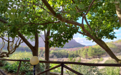 Tenute Pispisa : l’art de l’agritourisme au cœur de la Sicile