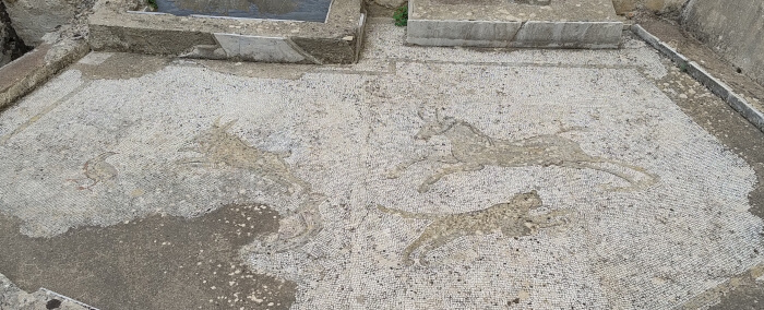 02-VoyagesDeciDela-villa romaine du casale-autres mosaiques