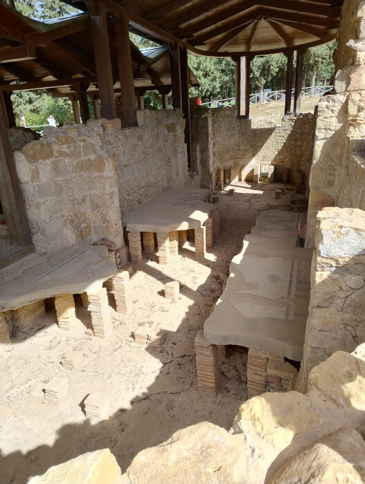 2-Voyages Deci Dela-Villa romaine du Casale-Tepidarium